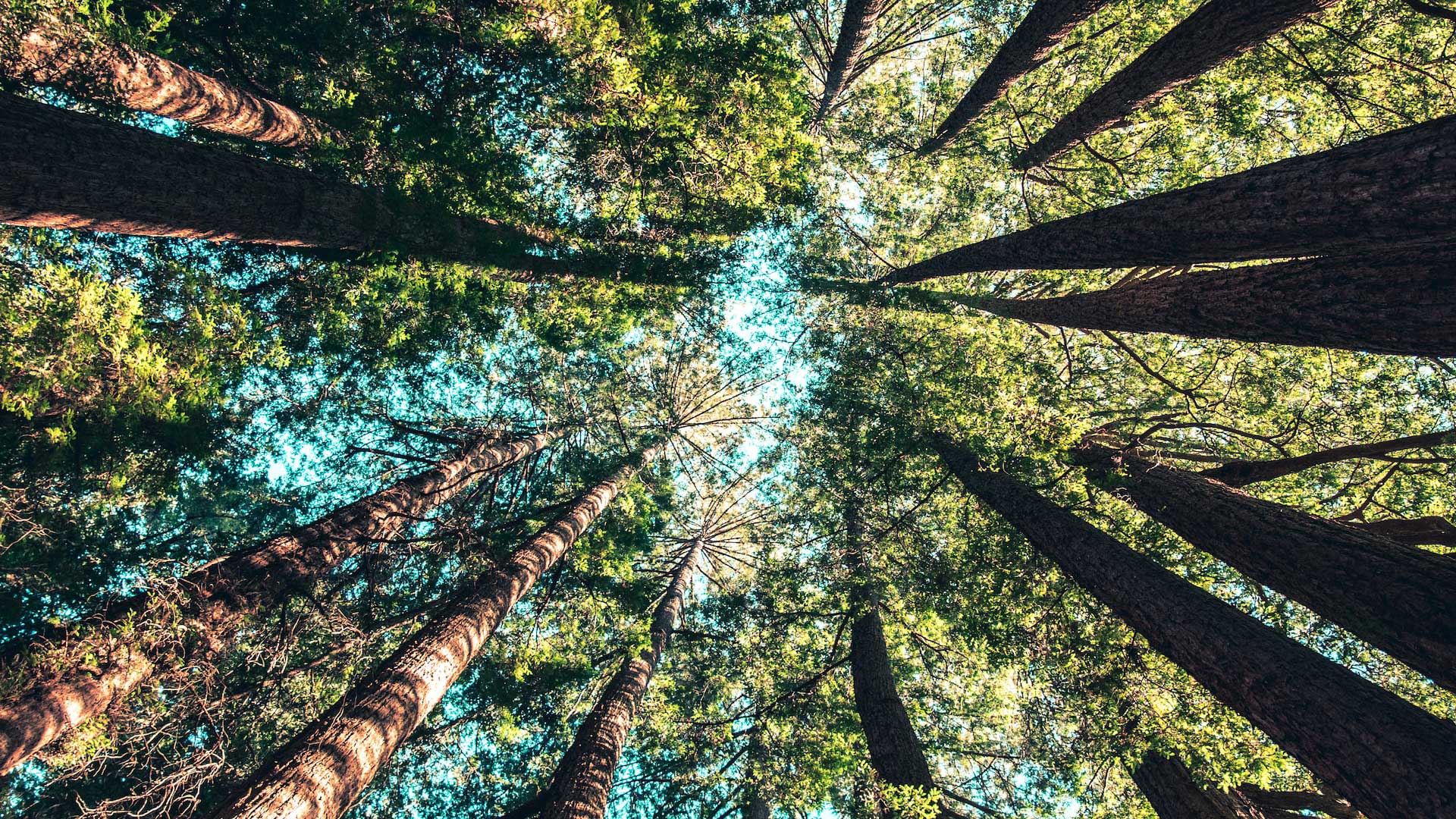 The Best Travel Destination