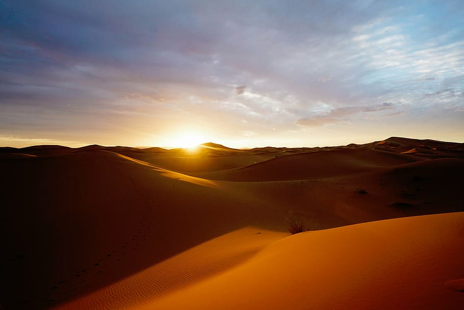 Traversing the Sun-Kissed Sands of Rajasthan