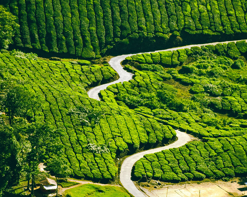 Munnar