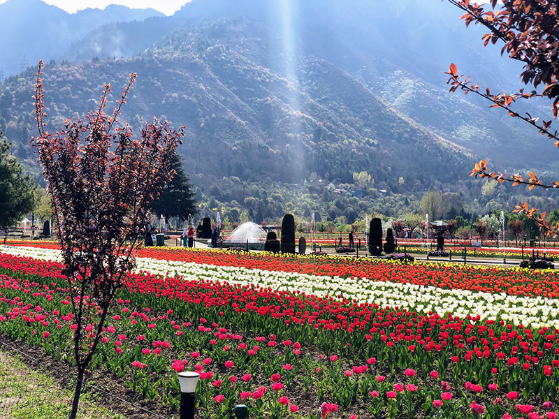 Srinagar