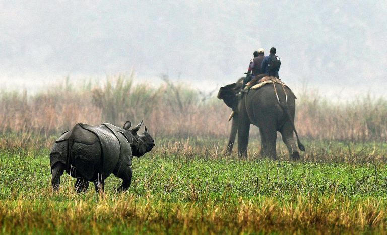 Kaziranga National Park