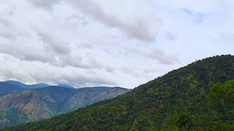 Anamalai Hills
