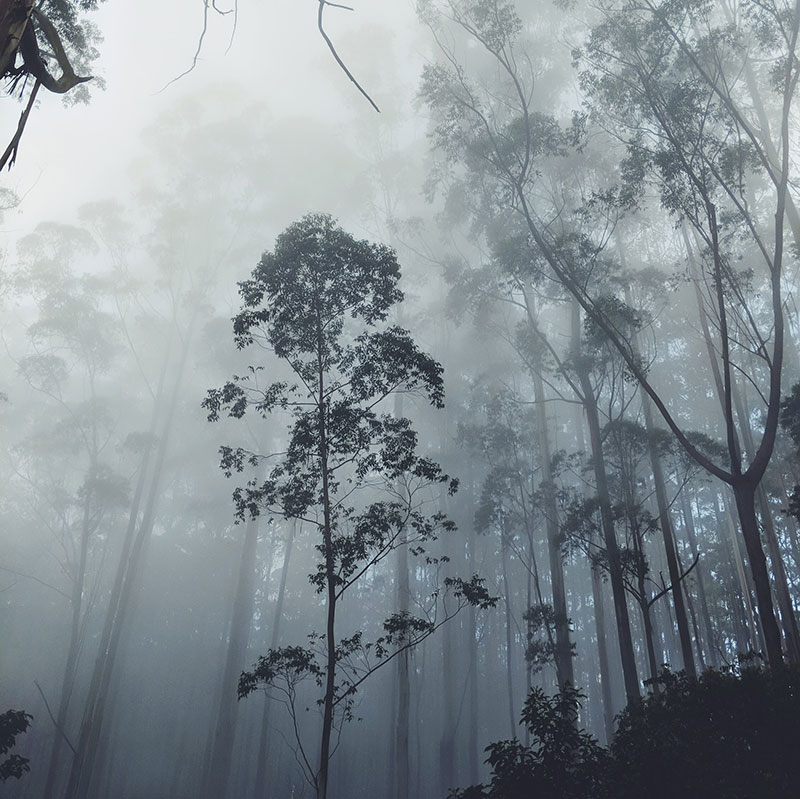 Kodaikanal