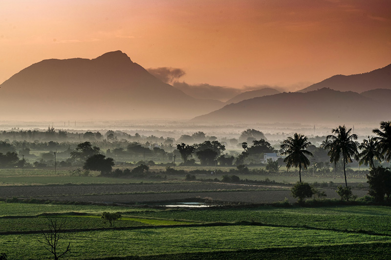 Tamil Nadu